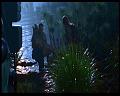 PDVD_825