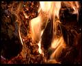 PDVD_836
