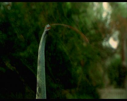 PDVD_086.jpg