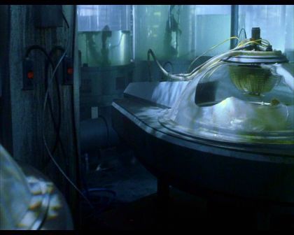 PDVD_1025.jpg