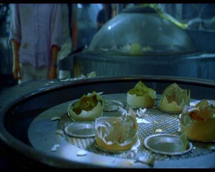 PDVD_1029.jpg
