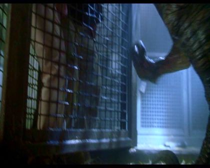 PDVD_1082.jpg
