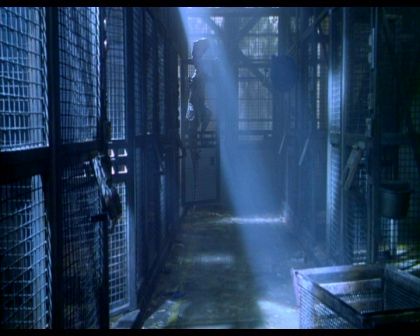 PDVD_1098.jpg