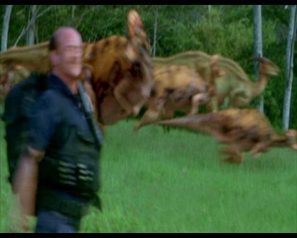 PDVD_1133.jpg