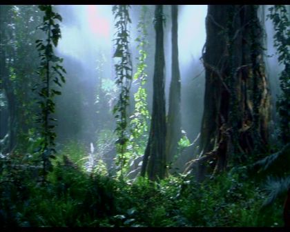 PDVD_1193.jpg