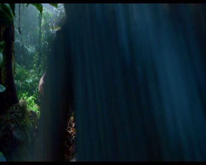 PDVD_1198.jpg