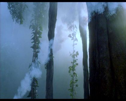 PDVD_1206.jpg