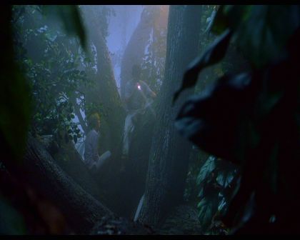 PDVD_1305.jpg