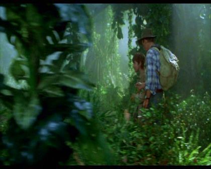 PDVD_1382.jpg
