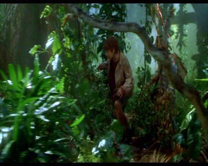 PDVD_1384.jpg