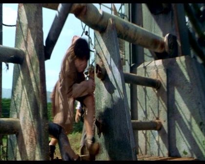 PDVD_1470.jpg