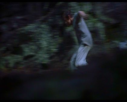 PDVD_1812.jpg