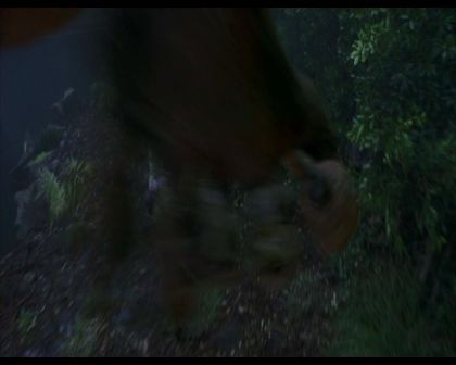 PDVD_1816.jpg