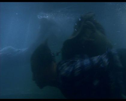 PDVD_1820.jpg