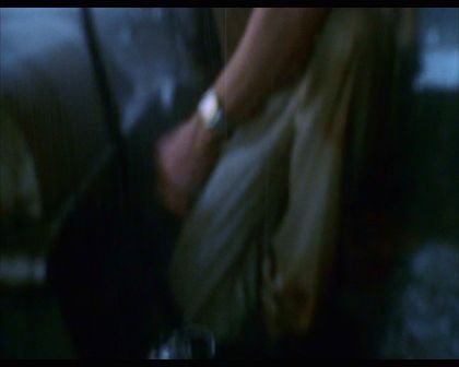 PDVD_1981.jpg