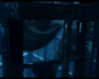 PDVD_2081.jpg