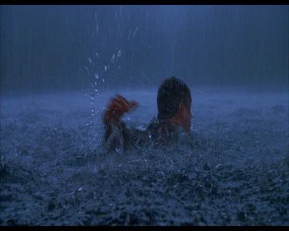 PDVD_2132.jpg