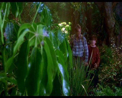 PDVD_2192.jpg