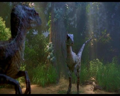 PDVD_2227.jpg