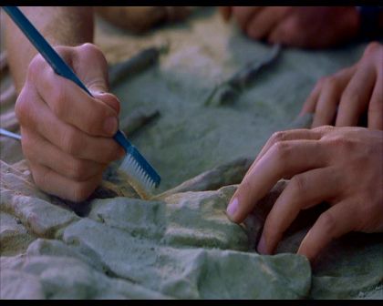 PDVD_228.jpg