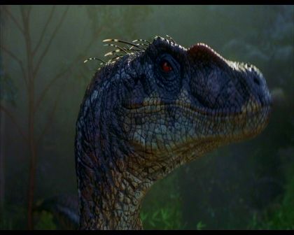 PDVD_2286.jpg