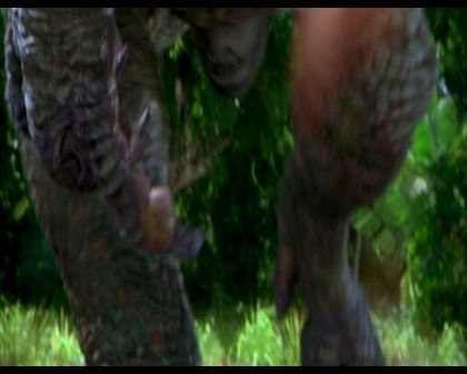 PDVD_492.jpg