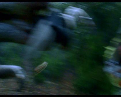 PDVD_562.jpg