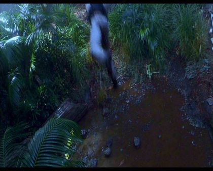 PDVD_564.jpg