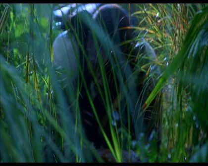 PDVD_567.jpg