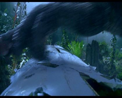 PDVD_607.jpg