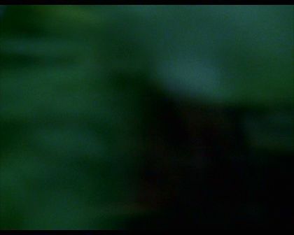 PDVD_644.jpg