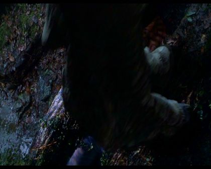 PDVD_679.jpg