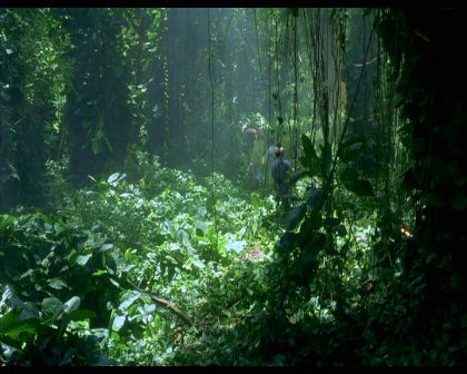 PDVD_755.jpg