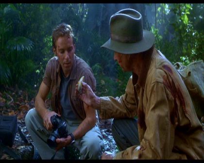 PDVD_783.jpg