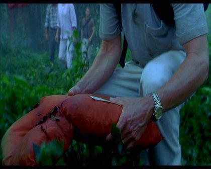 PDVD_841.jpg