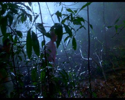 PDVD_910.jpg