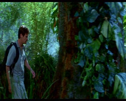 PDVD_981.jpg