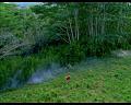 PDVD_1423