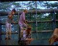 PDVD_1463