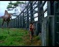 PDVD_1466