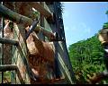 PDVD_1472
