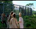 PDVD_1477