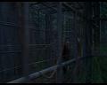 PDVD_1808