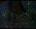 PDVD_1816