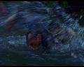 PDVD_1827