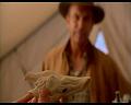 PDVD_259