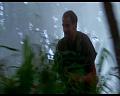 PDVD_475
