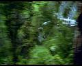 PDVD_498