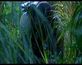 PDVD_567