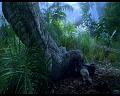 PDVD_569